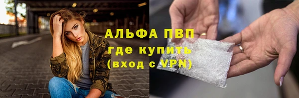 стаф Михайловск