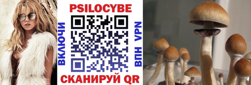 Галлюциногенные грибы Psilocybe  магазин  наркотиков  Алдан 